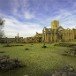 Fountains Abbey_2